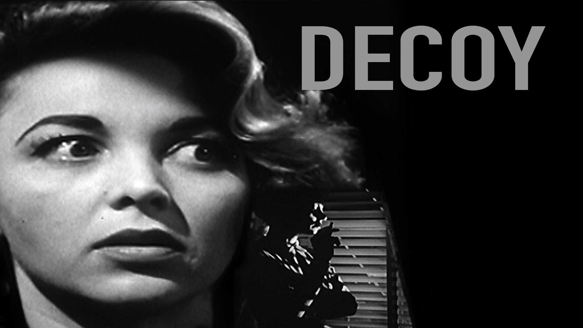 Decoy