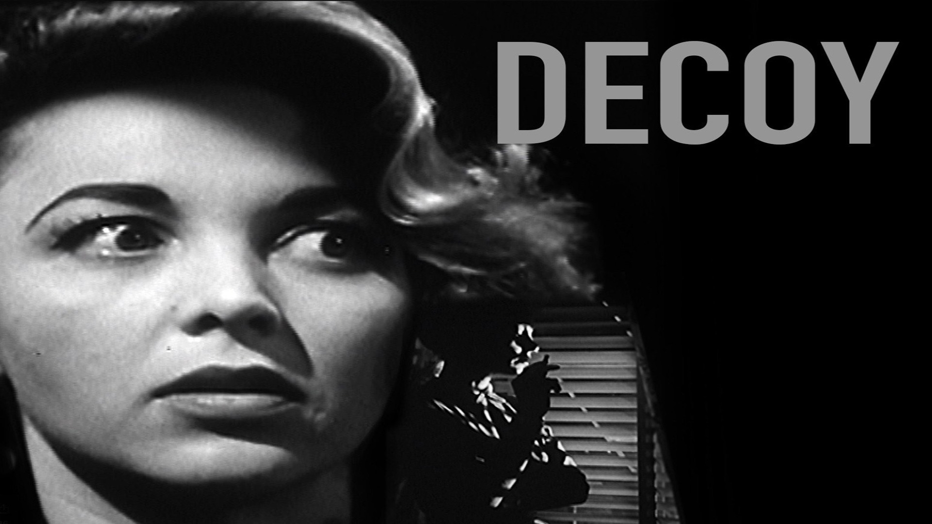 Decoy - First Arrest