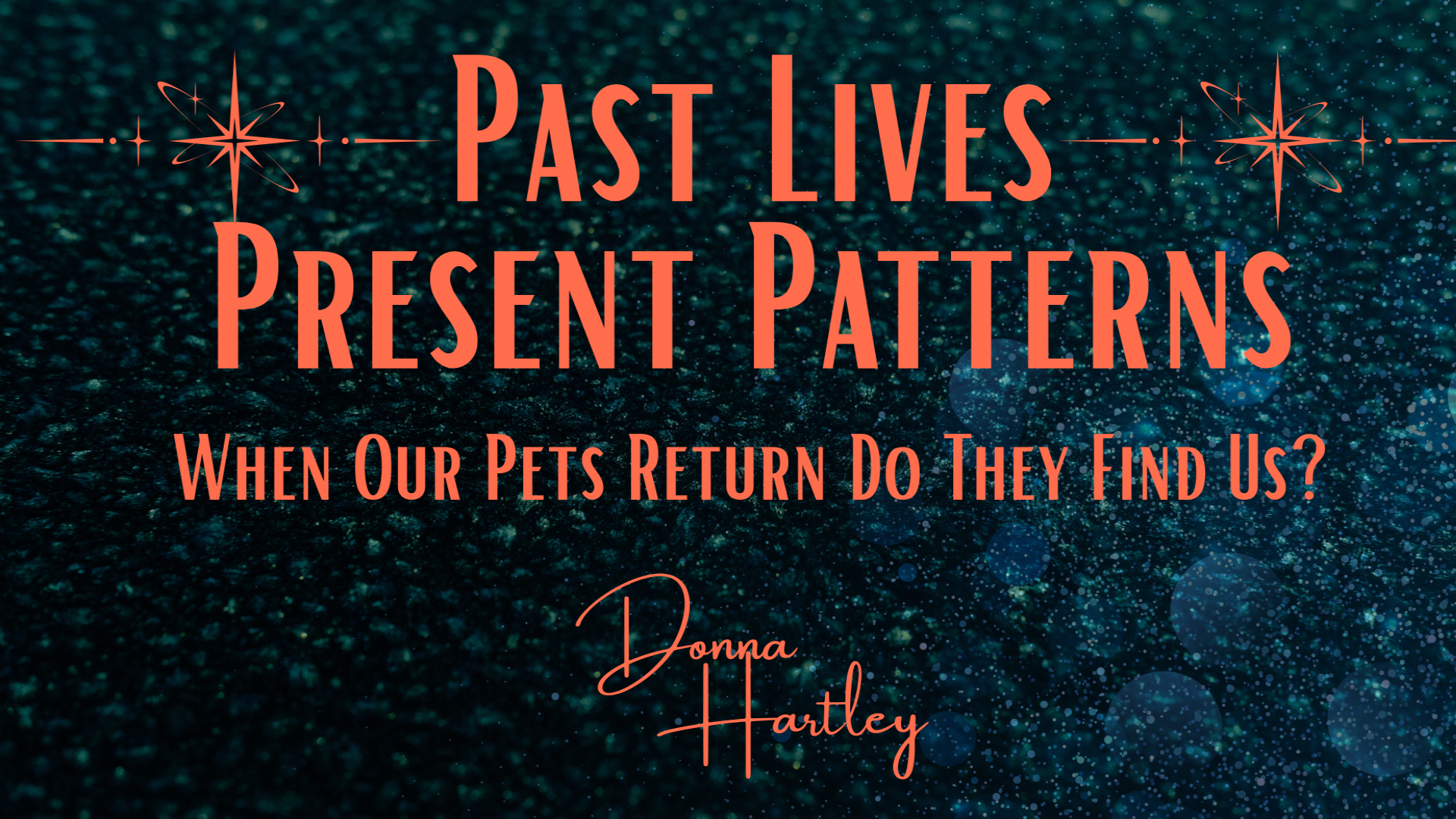EPISODE 5: When Our Pets Return Do They Find Us?