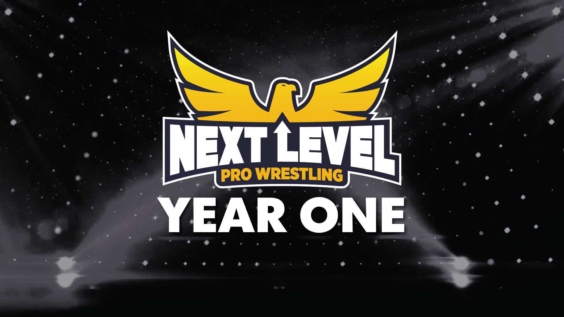 NLPW Year 1 -