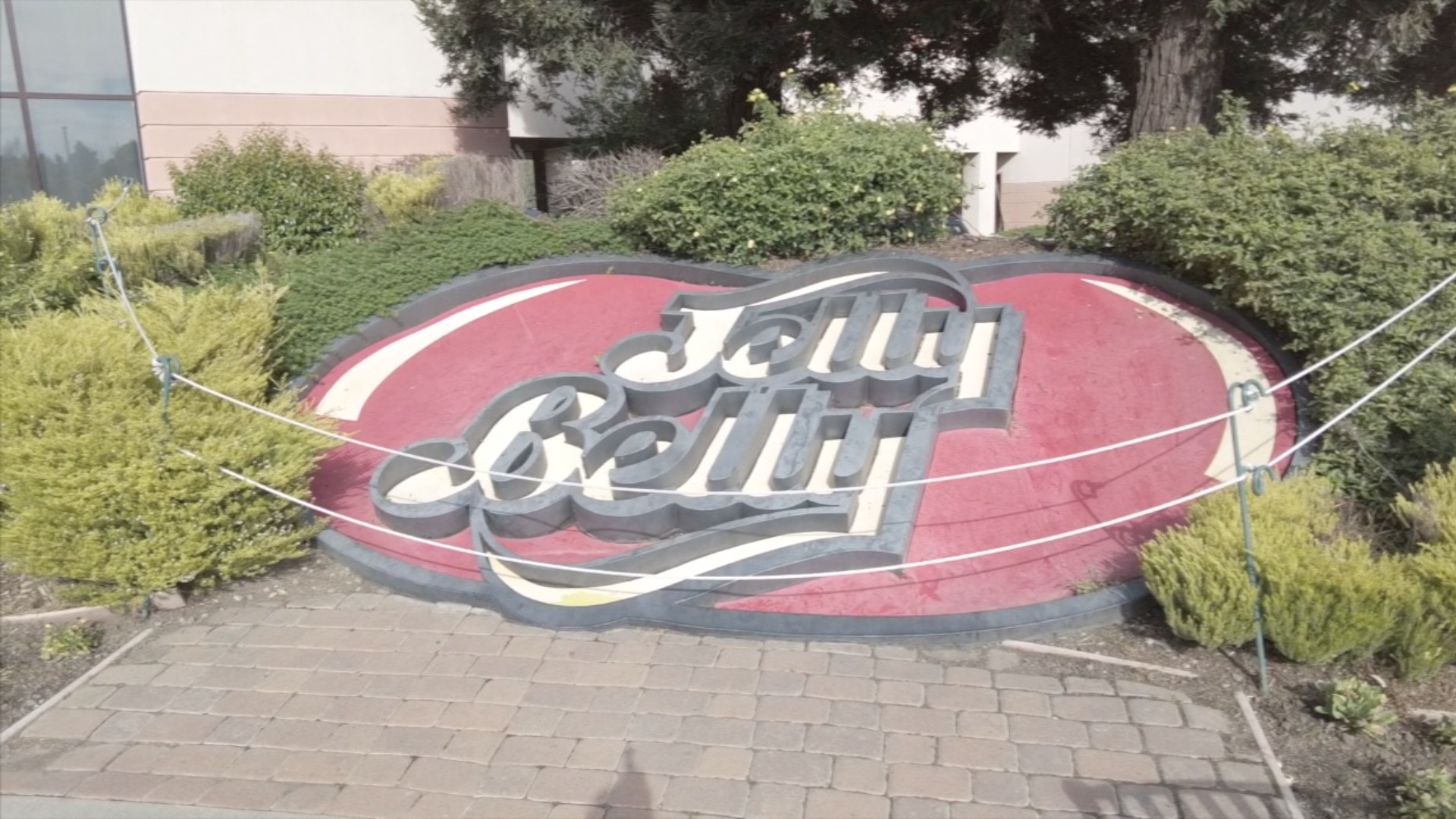 AFA | Jelly Belly Factory