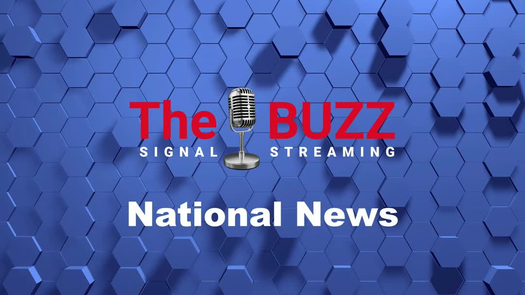 The BUZZ SIGNAL STREAMING