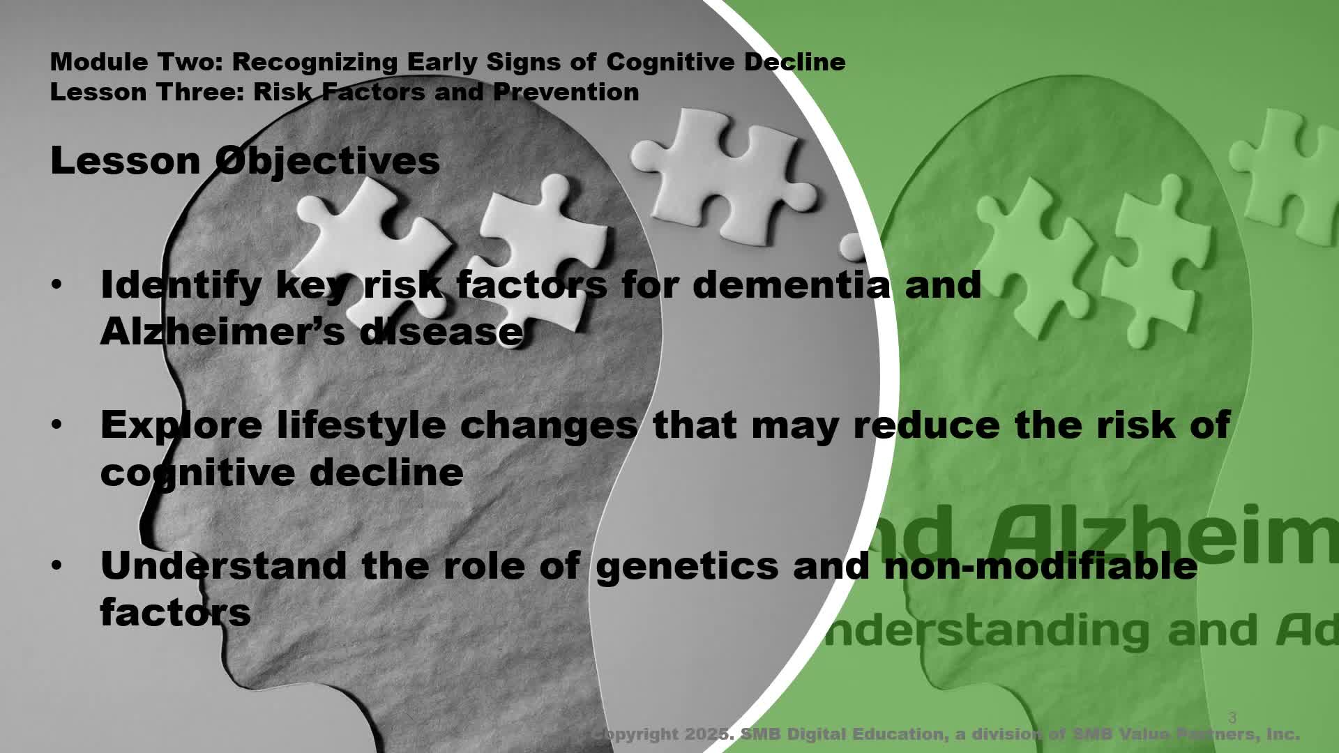 Dementia Risk Factors & Prevention Strategies M2L3 Thumbnail