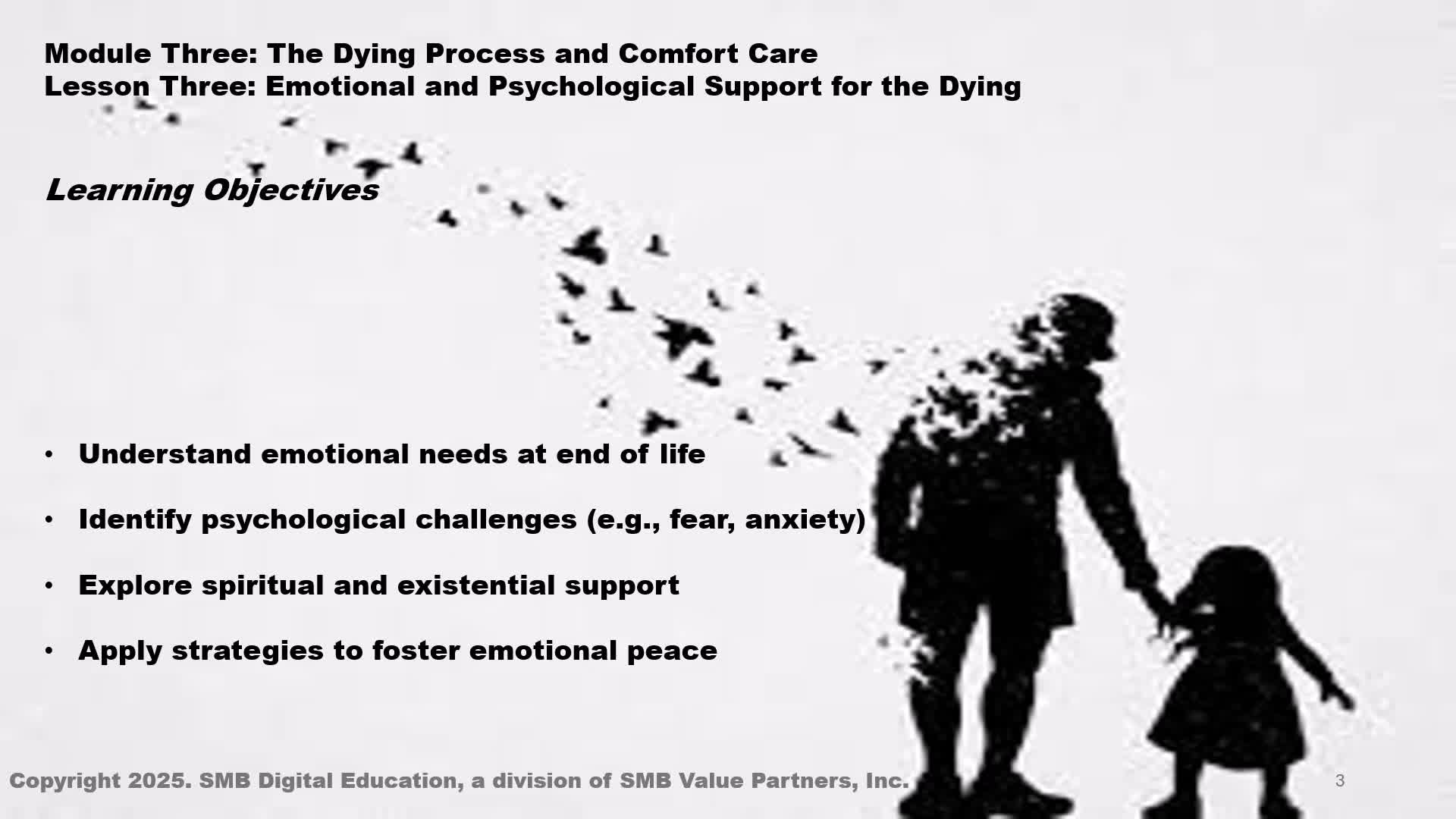 Emotional & Psychological Support for the Dying: Death & Dying with Dignity M3L3 Thumbnail